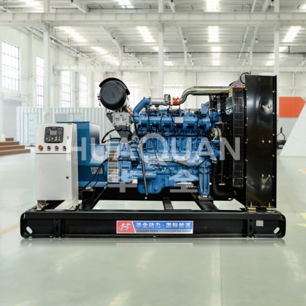 Safety Precautions for Operating Biogas gen